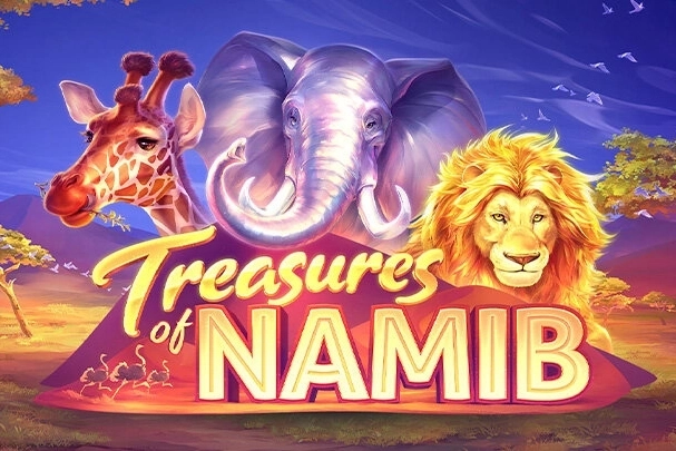 00844 treasures of namib
