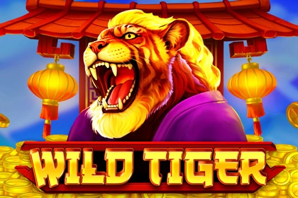02544 wild tiger