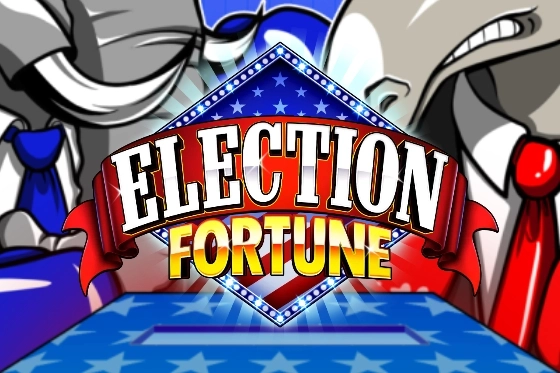 22017 election fortune